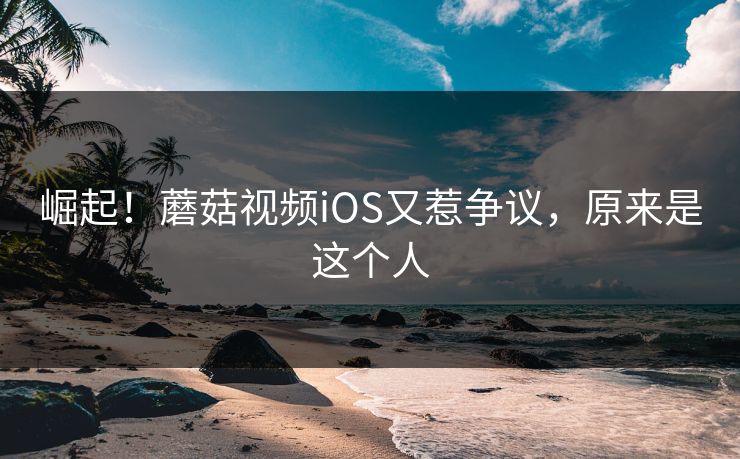 崛起！蘑菇视频iOS又惹争议，原来是这个人