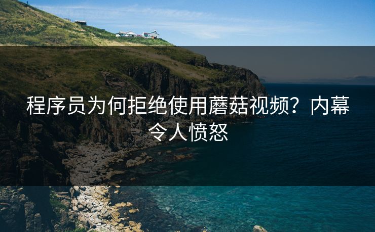 程序员为何拒绝使用蘑菇视频？内幕令人愤怒