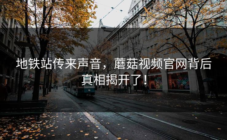 地铁站传来声音，蘑菇视频官网背后真相揭开了！