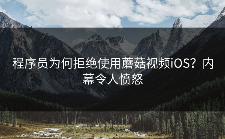 程序员为何拒绝使用蘑菇视频iOS？内幕令人愤怒