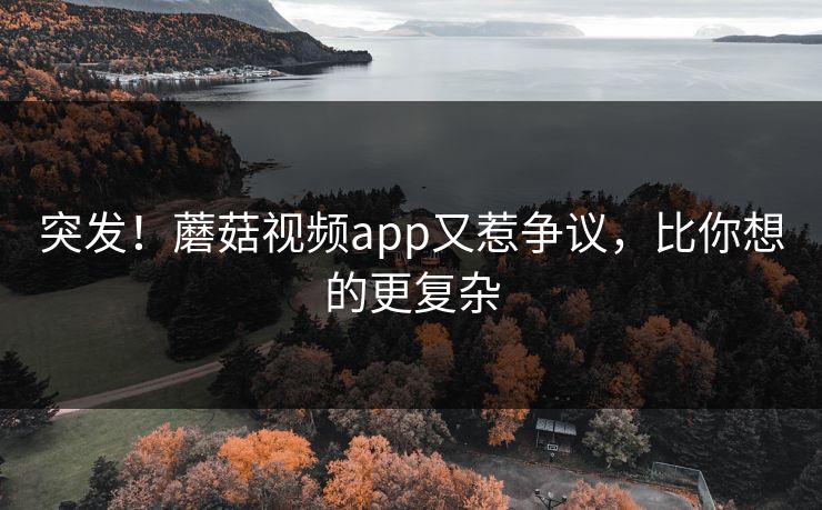 突发！蘑菇视频app又惹争议，比你想的更复杂