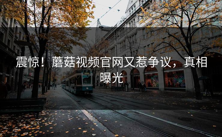 震惊！蘑菇视频官网又惹争议，真相曝光