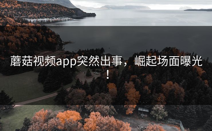 蘑菇视频app突然出事，崛起场面曝光！