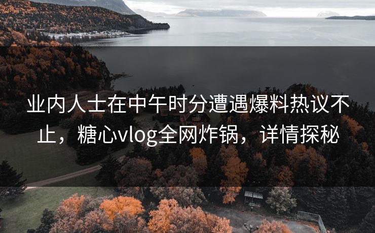 业内人士在中午时分遭遇爆料热议不止，糖心vlog全网炸锅，详情探秘
