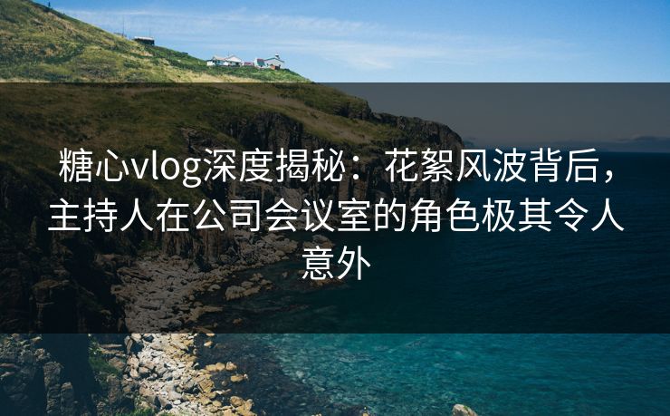 糖心vlog深度揭秘：花絮风波背后，主持人在公司会议室的角色极其令人意外