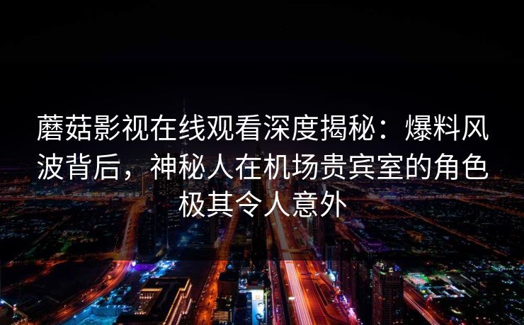 蘑菇影视在线观看深度揭秘：爆料风波背后，神秘人在机场贵宾室的角色极其令人意外