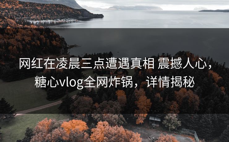 网红在凌晨三点遭遇真相 震撼人心，糖心vlog全网炸锅，详情揭秘