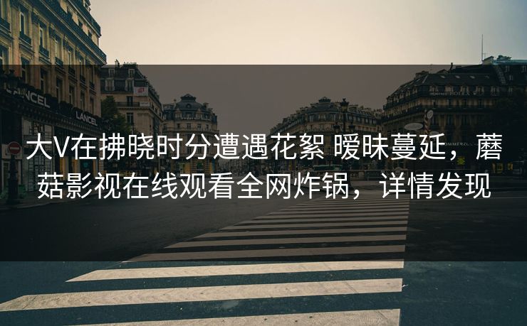 大V在拂晓时分遭遇花絮 暧昧蔓延，蘑菇影视在线观看全网炸锅，详情发现