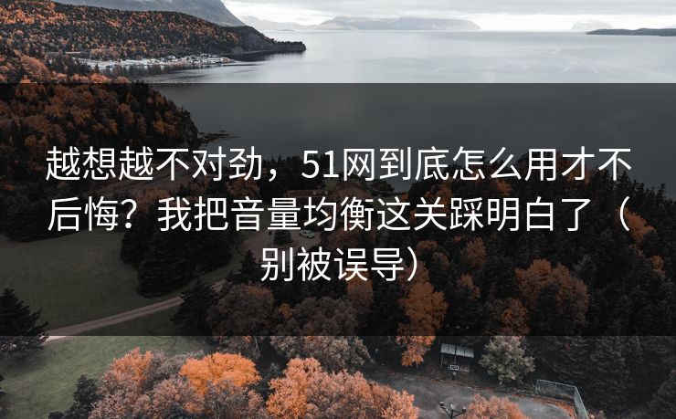 越想越不对劲，51网到底怎么用才不后悔？我把音量均衡这关踩明白了（别被误导）